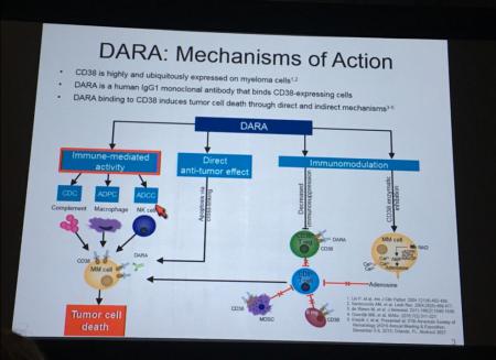 Daratumumab, Darzalex, Genmab, Genmap, ASH, GEN.CO